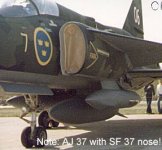 viggen.jpg