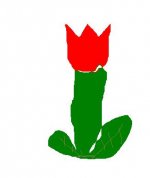 tulip.JPG