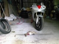 Foto0072.jpg