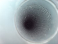 DSC03515.jpg