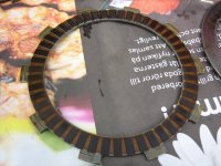 IMG_2428.jpg