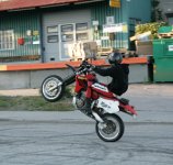 IMG_3136.jpg
