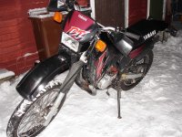 DSC02437 (Medium).JPG