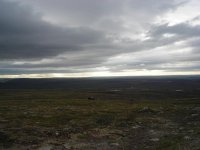 dscn0138 (Medium).jpg