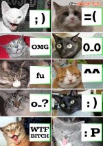 Katter tolkar smileys.jpg