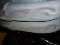 P1010006_förminskad.JPG