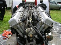 DSCN3118 (Medium).JPG