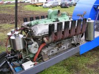 DSCN3119 (Medium).JPG