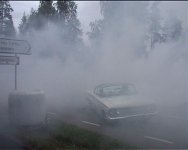 impala2.jpg
