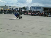 mange stegrar med gnister.jpg