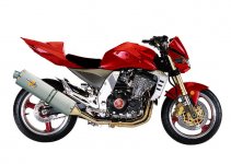 z1000.jpg