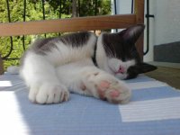 DSC00072.jpg