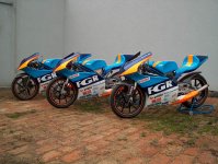 fgr3.jpg