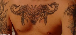 chest.jpg