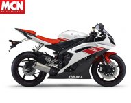 R6-White08.jpg