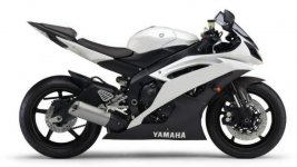Yamaha R6 08  2.jpg