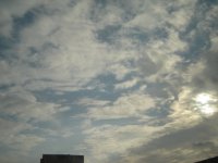 DSC01635.JPG