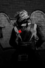 Bild 023mod1SH1.jpg