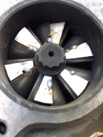 22-08-07_1018 (Medium).jpg