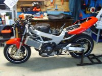 S5000557 (Medium).JPG