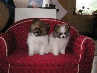 PICT0026 (Small).JPG