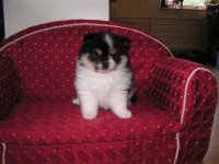 PICT0031 (Small).JPG