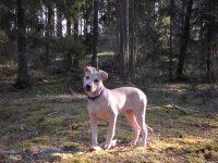 mini-bild 156.jpg