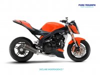 ductriktm (kopia)2 (Large).jpg
