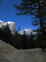 IMG_3303_low2.jpg