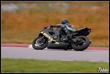 DSC_1813.jpg