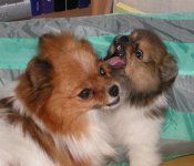 Jessie och Maya (Medium).JPG