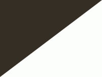 F1_black_and_white_diagonal_flag.gif