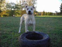 mini-bild 071.jpg