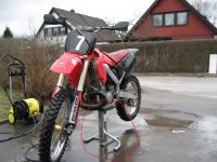 IMG_02533.jpg