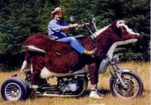 motorcykel_paa_landet_1.jpg
