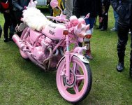 rosa_motorcykel_1.jpg