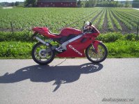 bikepics-153640-800.jpg