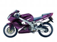 2001-Kawasaki-ZX-9Ra kopiera.jpg