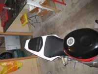 Bild (63).jpg