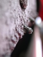 dscn5532.jpg