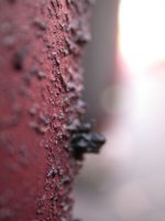 dscn5534.jpg