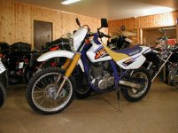 dr650.jpg