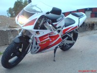 DSC00570.JPG