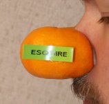 flsatsumas.jpg