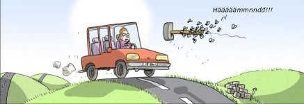 flies-revenge.JPG