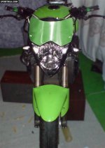 dsc00111_33grön (Medium).jpg