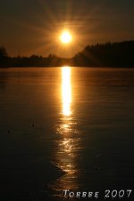 IMG_5566_.jpg