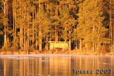 IMG_5571_.jpg