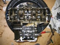 6 (Medium).JPG