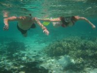 snorklar.JPG